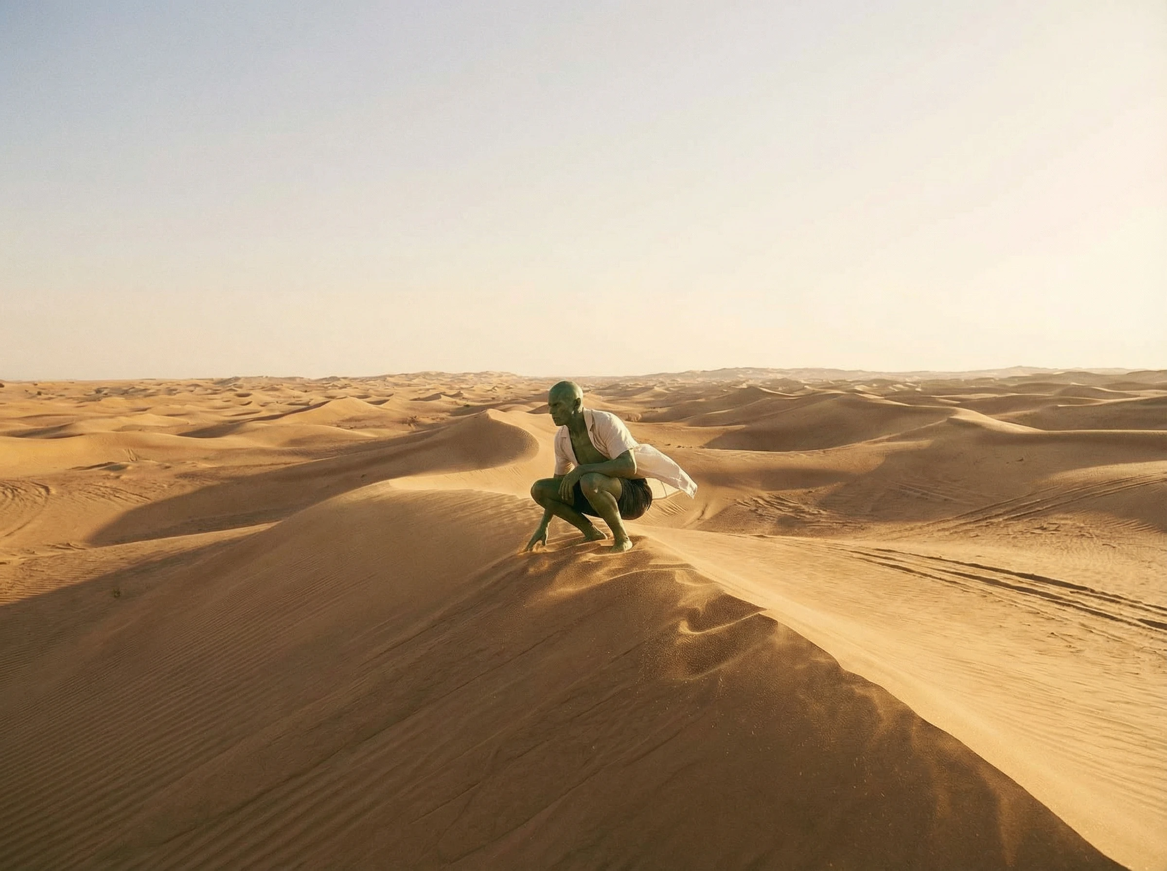 The Observer - Dune Crest Wide